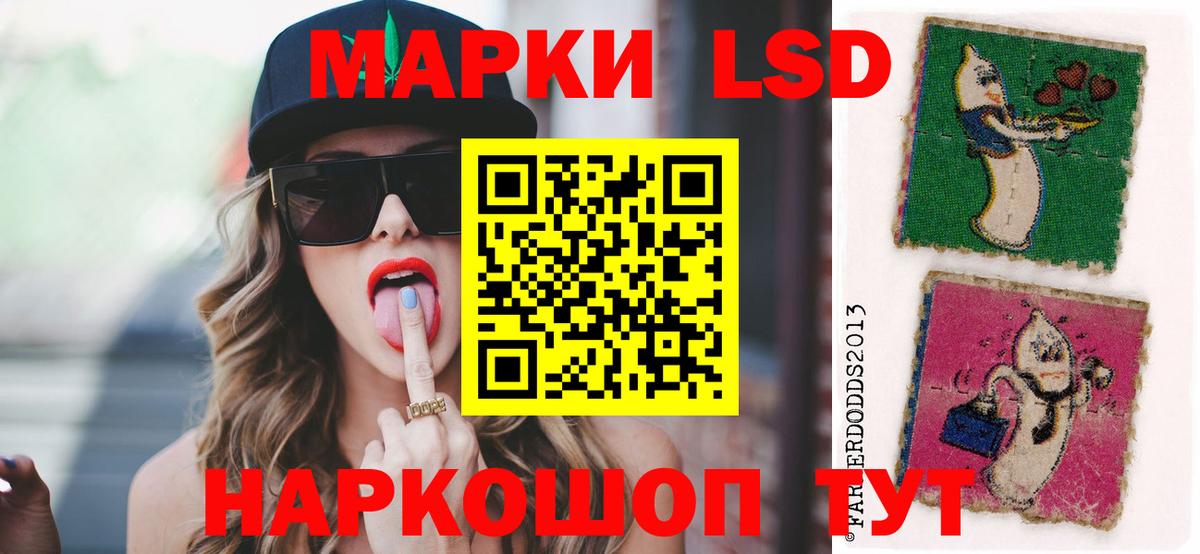 ГАШ Великий Новгород
