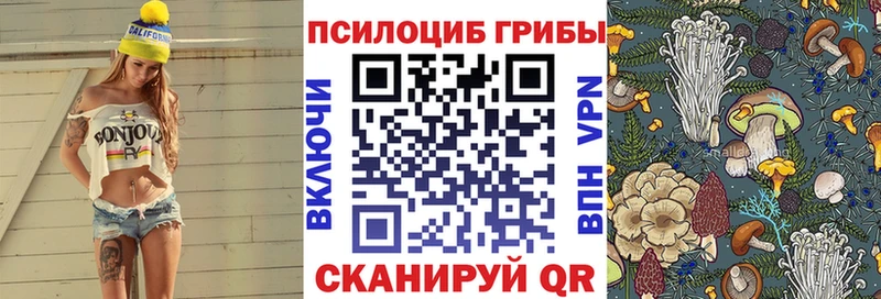 Галлюциногенные грибы прущие грибы  магазин продажи   Великий Новгород 