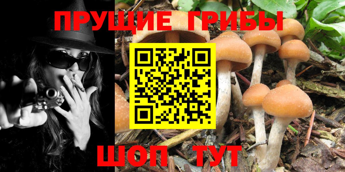 Меф  НБОМе  Цена  КОКАИН  Вход с VPN  ГАШ  Мефедрон кристаллы  Великий Новгород  Бошки Шишки 