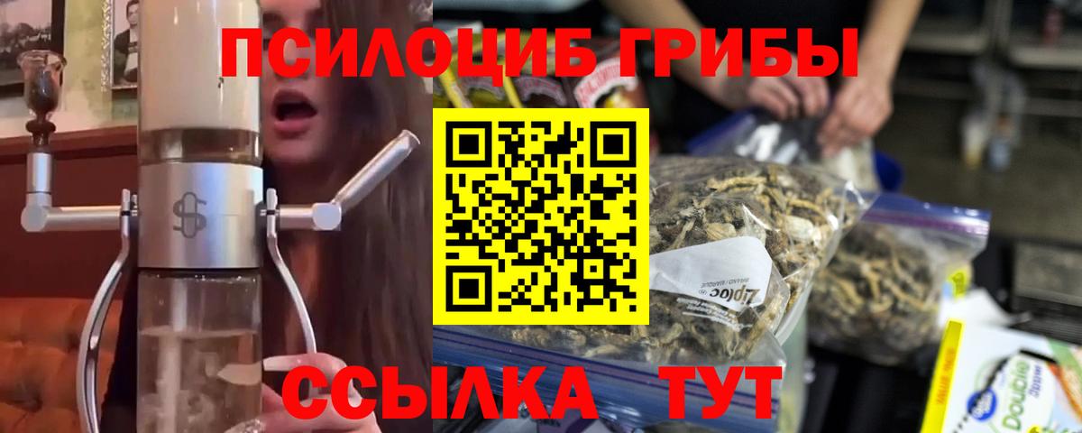 Псилоцибиновые грибы прущие грибы Великий Новгород
